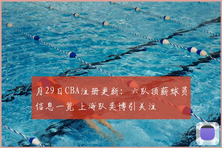 月29日CBA注册更新:六队顶薪球员信息一览 上海队奕博引关注